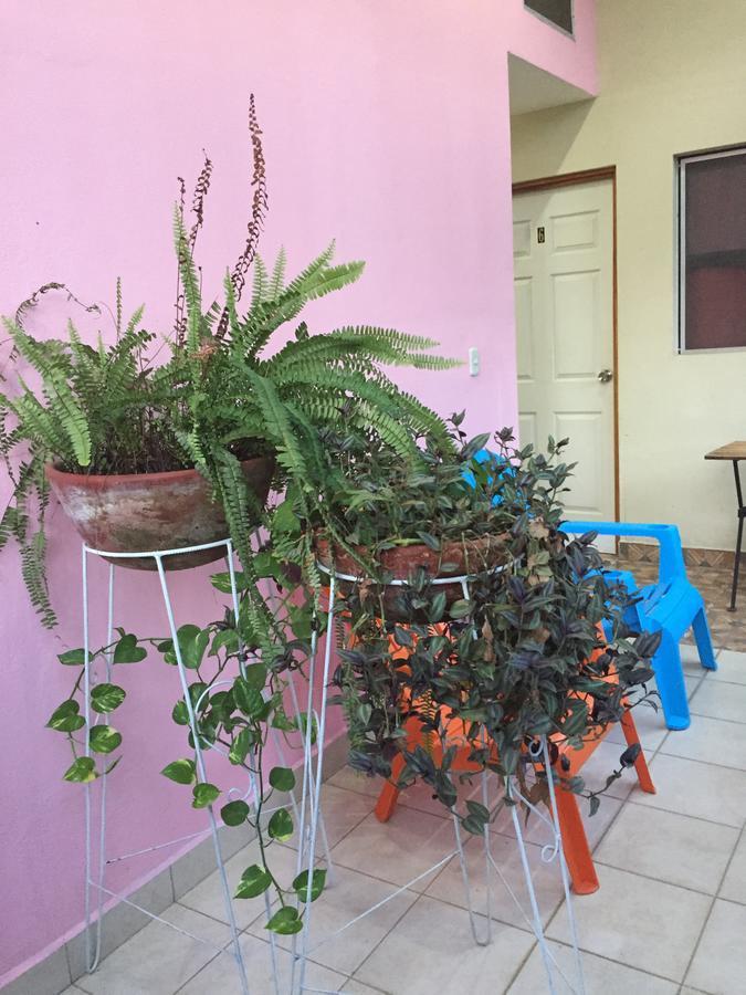 마나과 Casa Mokoron 아파트 외부 사진